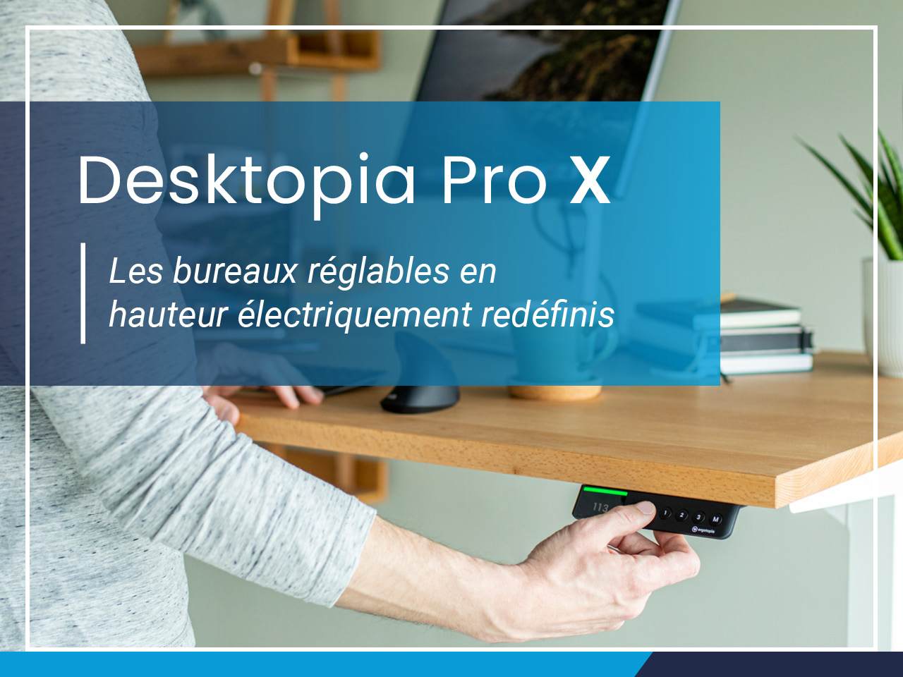 Desktopia Pro X - 2
